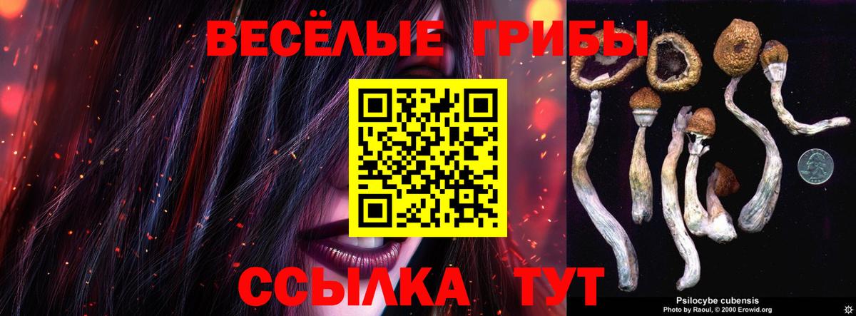 Псилоцибиновые грибы Cubensis  Вход с VPN  продажа наркотиков  Галлюциногенные грибы Psilocybe  Усолье-Сибирское 