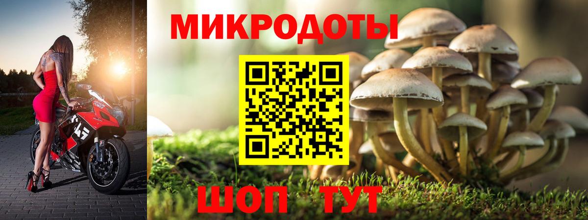 Галлюциногенные грибы Psilocybine cubensis Усолье-Сибирское